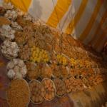 Vraj-Yatra-2014- (2883)